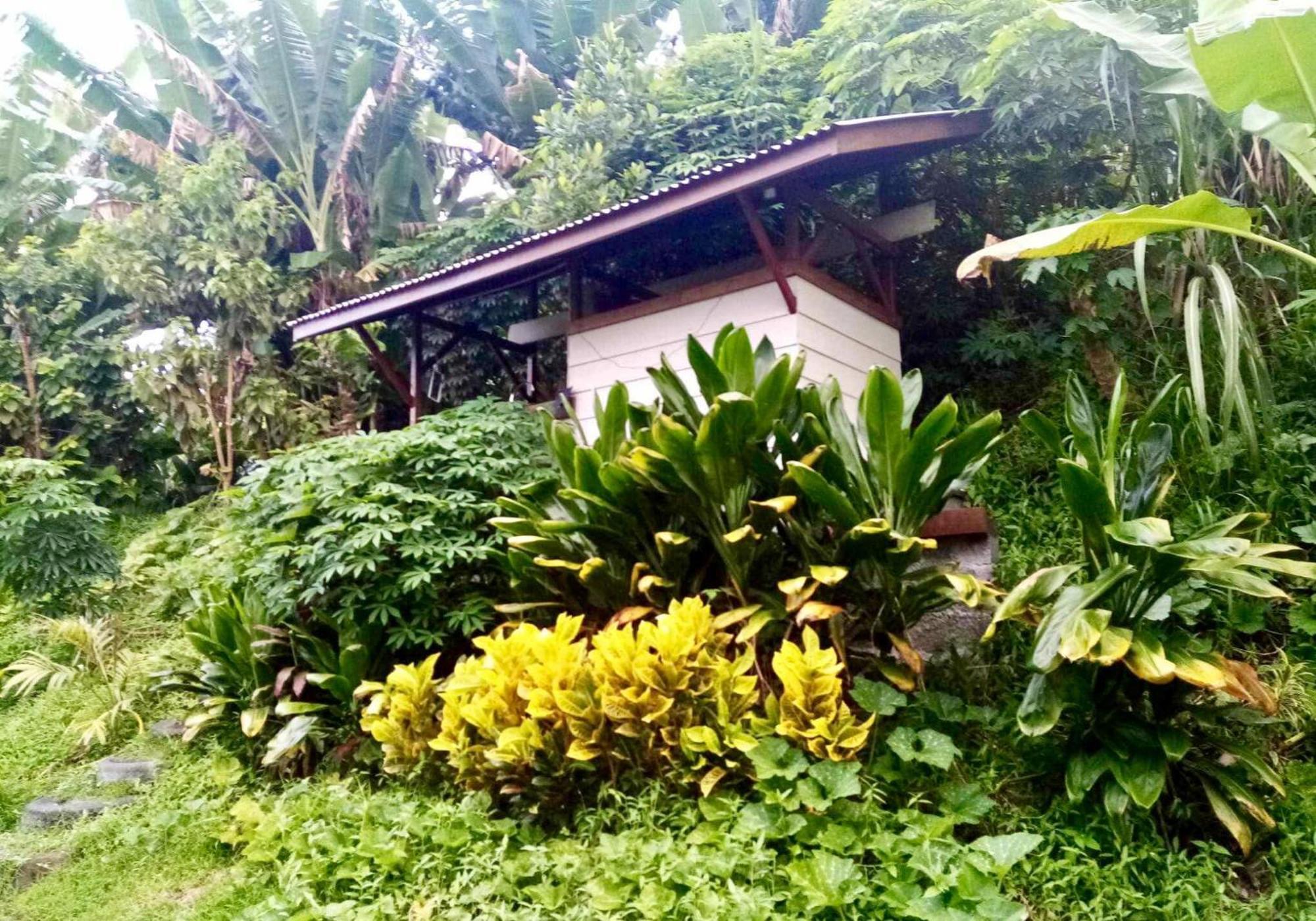 L'Auberge De Jeunesse Tahiti Iti - Beach Hostel Afaahiti Exterior photo